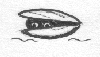 clam